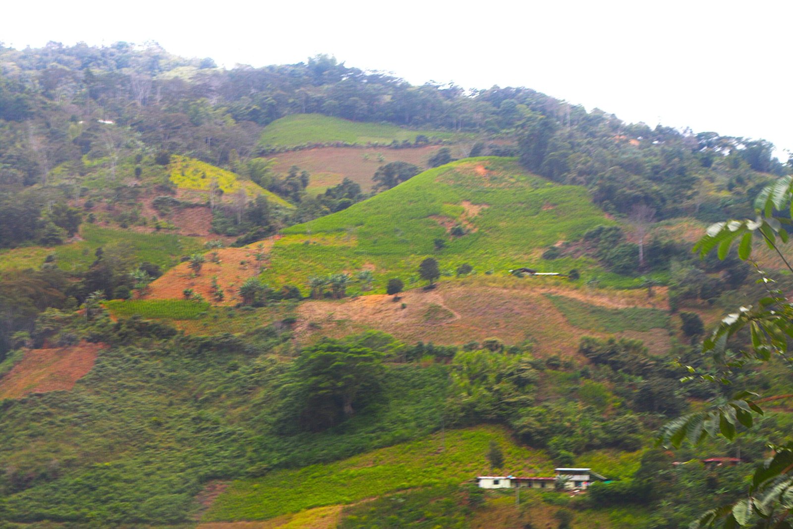 World Coach Colombia Cauca Scaled